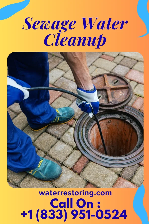 Sewage Water Cleanup in Mediapolis, IA